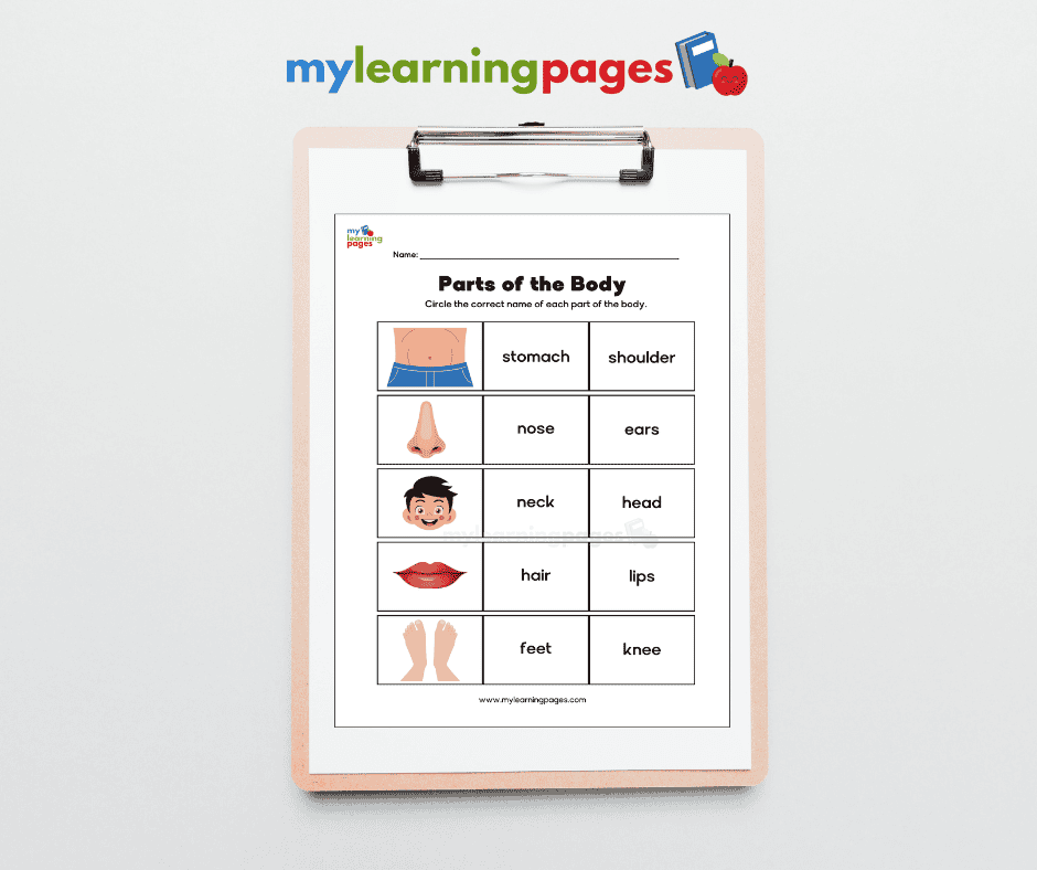 Parts of the body worksheets image 2