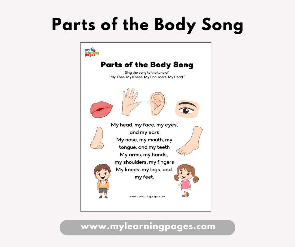 Parts of the body song